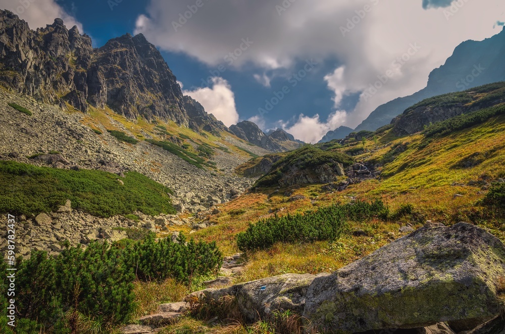 Summer mountain landscape. Beautiful mountain rocky peaks in High Tatra, Slovakia. Summer mountain landscape. Beautiful mountain rocky peaks in High Tatra, Slovakia.