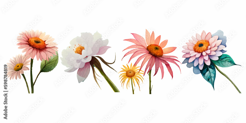 Obraz premium Collection of drawn watercolor flowers