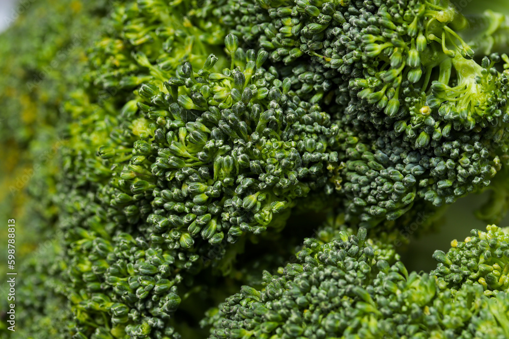 macro photography of broccoli. Concept of natural foods and vegetables. macro photography of broccoli. Concept of natural foods and vegetables.