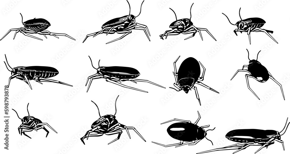 3d cockroach silhouette set rendered from every angle, cockroach illustration from different sides 3d cockroach silhouette set rendered from every angle, cockroach illustration from different sides