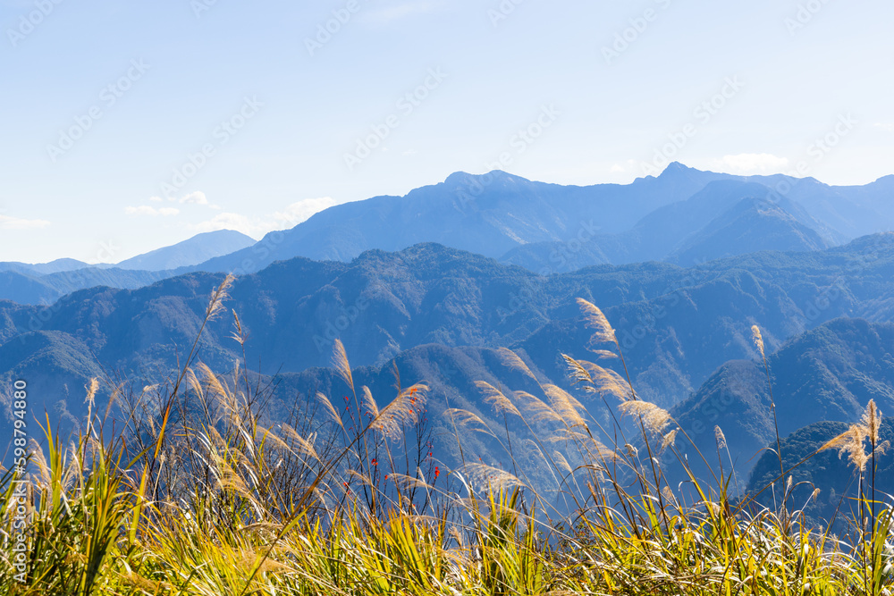 Beautiful scenery view on the mountain in Alishan national forest recreation area in Taiwan