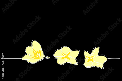 frangipani in simple sketch vector single or continuous line

