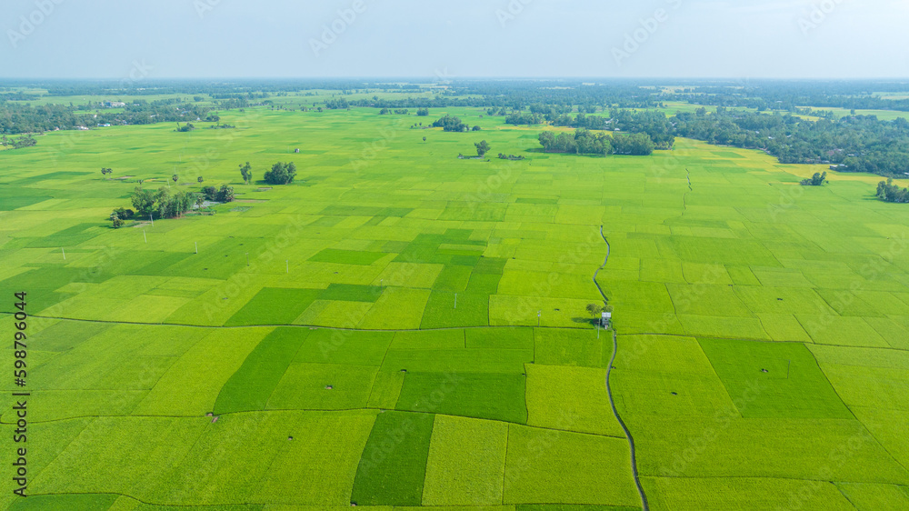 landscape with field and blue sky, greenland bangladesh aerial photo