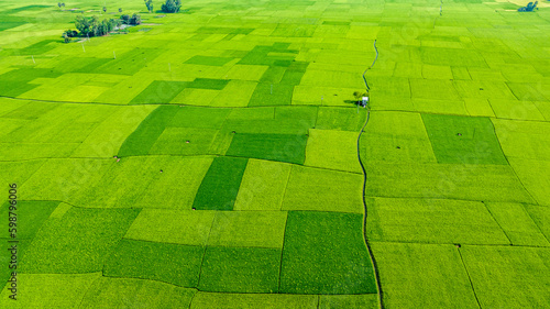 Φωτογραφία green field on a field aerial photo, Beautiful bangladesh landscape photo