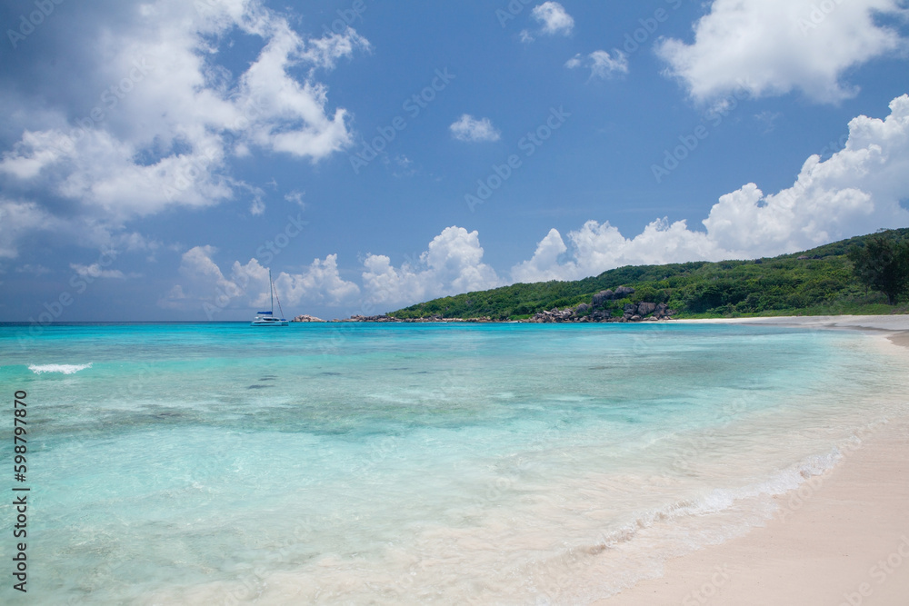 Tropical beach with palm trees Tropical beach with palm trees