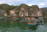 Floating fishing village in halong bay, vietnam, southeast asia