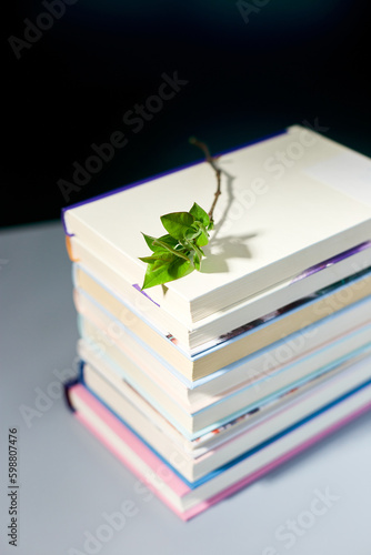 Stack of books with branch green leaves, World book day photo