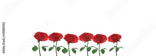 Fototapeta Naklejka Na Ścianę i Meble -  A row of red roses isolated on white background with copy space for text.