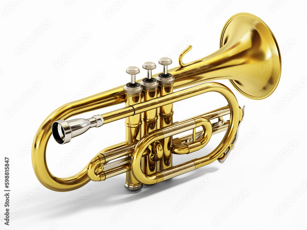 Obraz premium Cornet musical instrument isolated on white background. 3D illustration