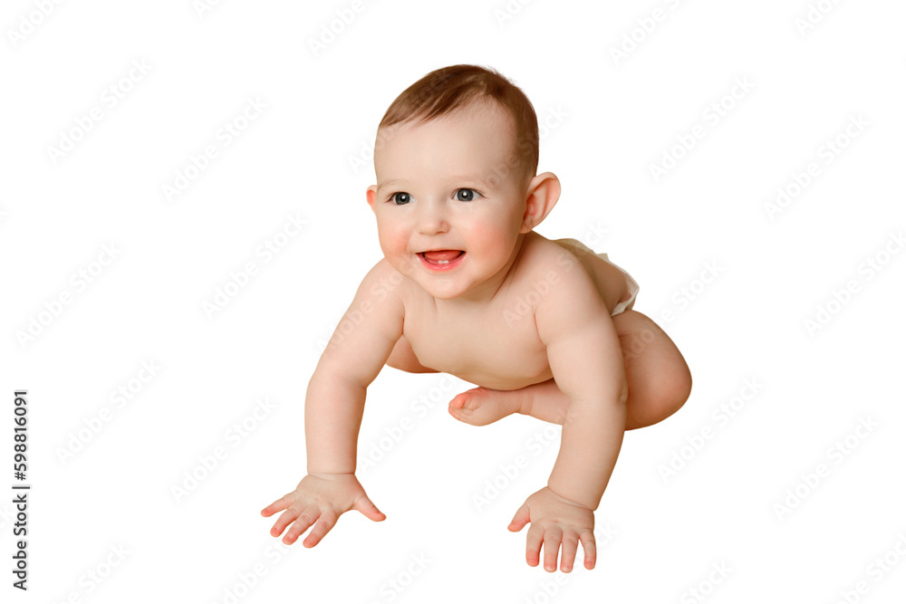 Happy toddler baby plays laughing, isolated on a white background. Funny child boy at the age of six months crawling and smiling, copy space Happy toddler baby plays laughing, isolated on a white background. Funny child boy at the age of six months crawling and smiling, copy space