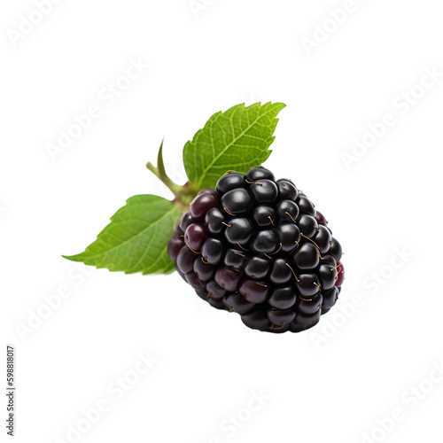 Blackberries isolated on transparent background, Generative AI