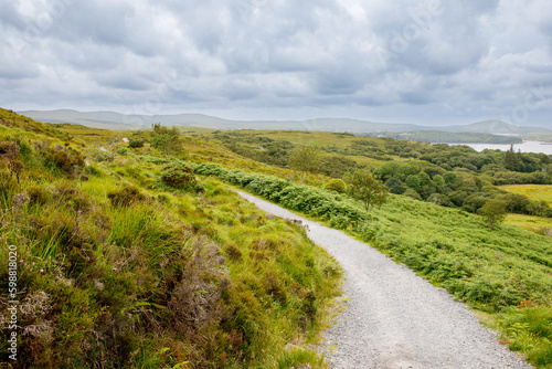 Ireland landscape. Magical Irish hills. Green island with sheep and cows on cloudy foggy day. Connemara national park in Ireland. © Irina Schmidt