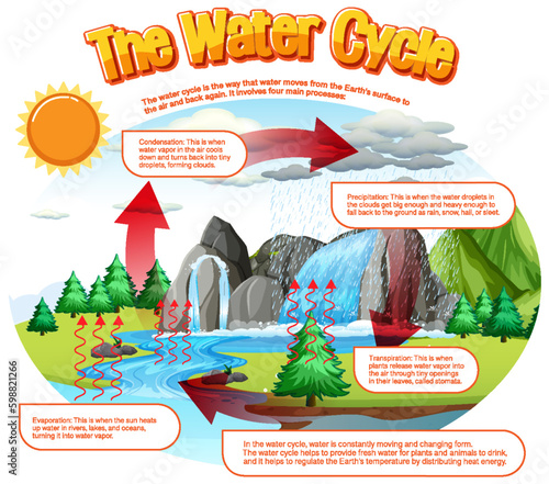 The water cycle diagram for science education