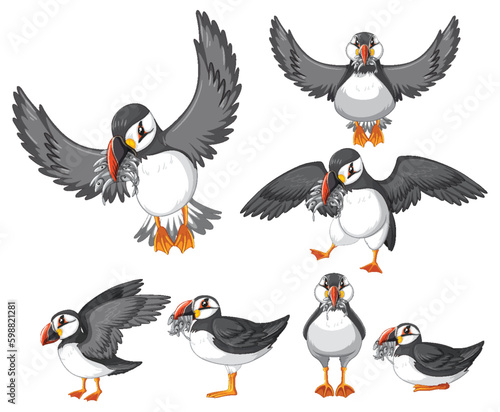 Puffin birds in cartoon style