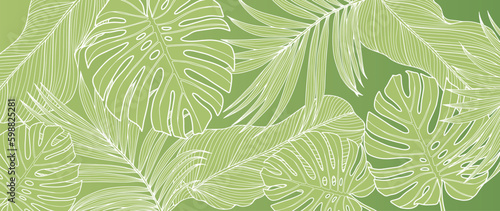 Fresh green summer tropical background with palm leaves, monstera and banana leaves. Background for decor, covers, wallpapers, postcards and presentations