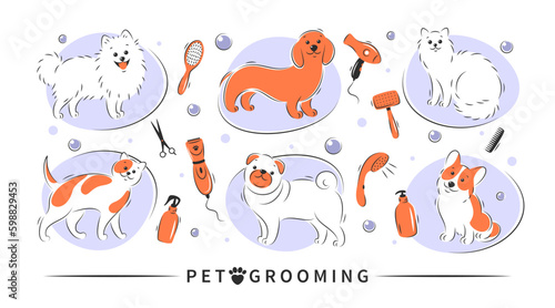 Pet grooming. Dog and cat beauty grooming salon, haircuts, bathing, care hair of pet. Vector illustration.
