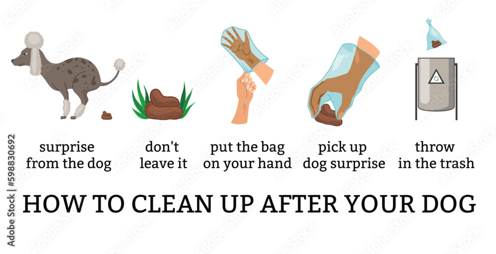 Dog poo clean up steps infographic set. Vector poster about hygiene