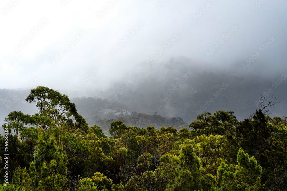 clouds in the mountains