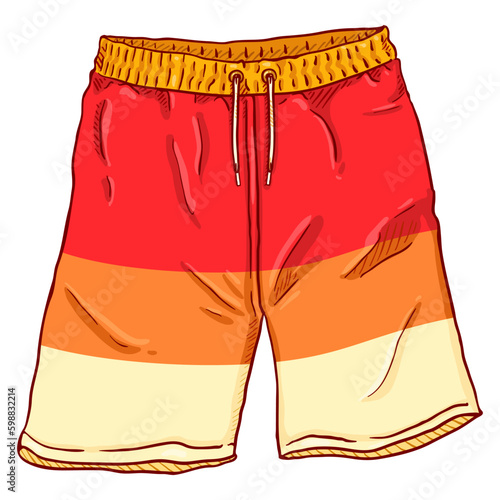Vector Cartoon Beach Colorful Swimming Shorts
