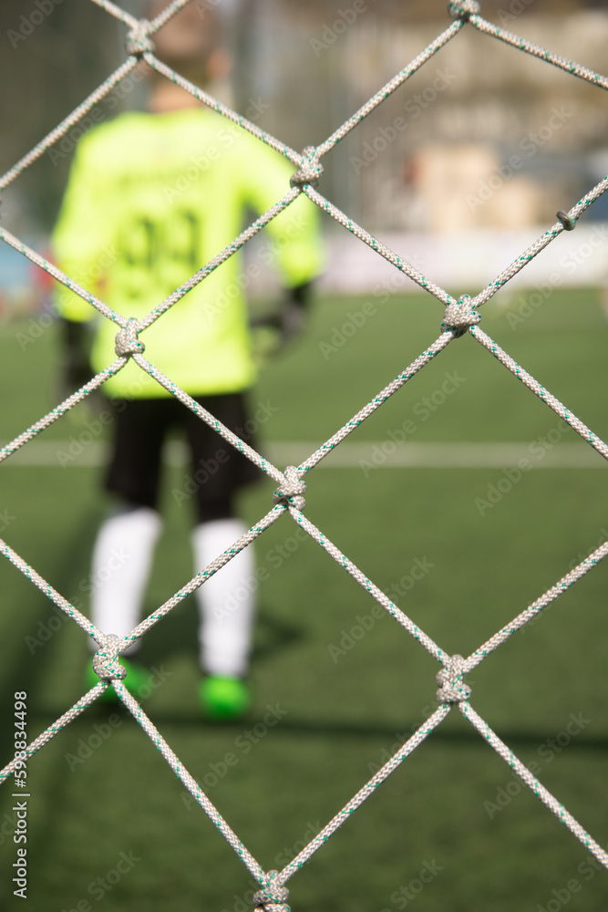 Fototapeta premium soccer football field