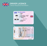 New United Kingdom car driver license identification after brexit. Flat vector illustration template. Great Britain.