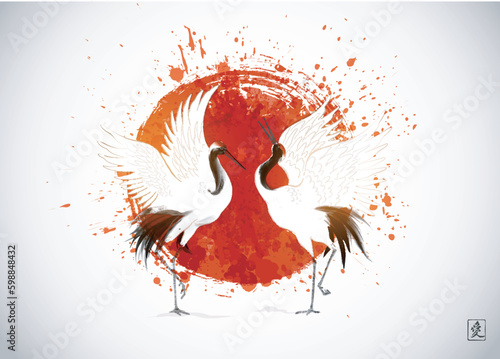 Photography Two dancing japanese red-crowned cranes on big red sun background