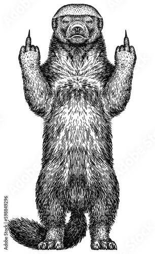 Foto Vintage engraving isolated honey badger set illustration ink sketch