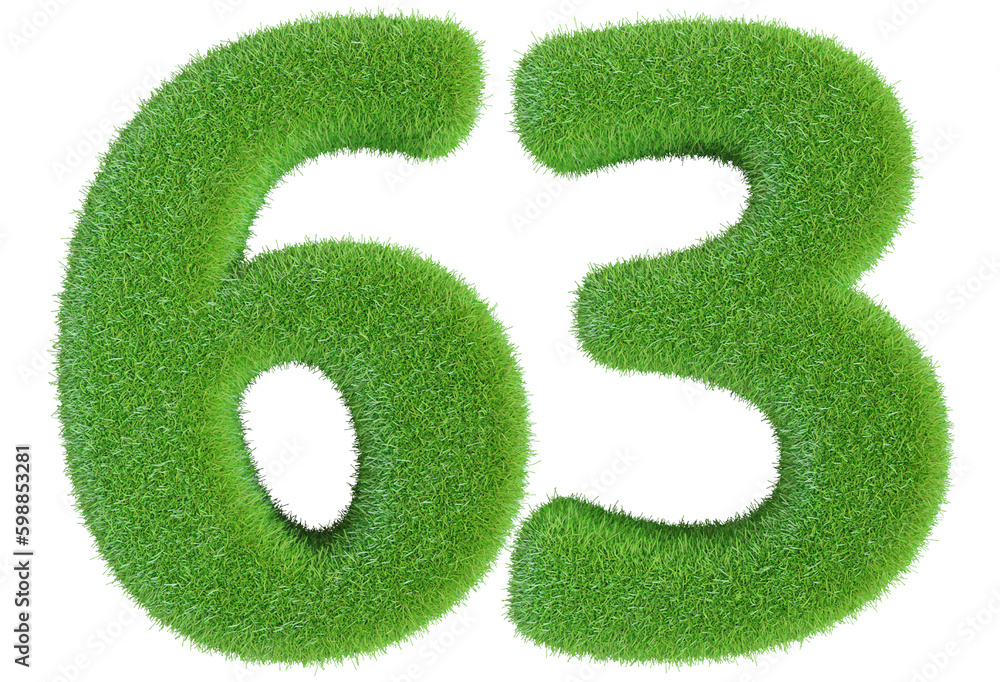 63 number grass 3d render
