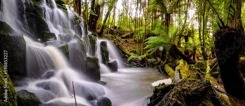 Fototapeta Naklejka Na Ścianę i Meble -  waterfall in the forest
