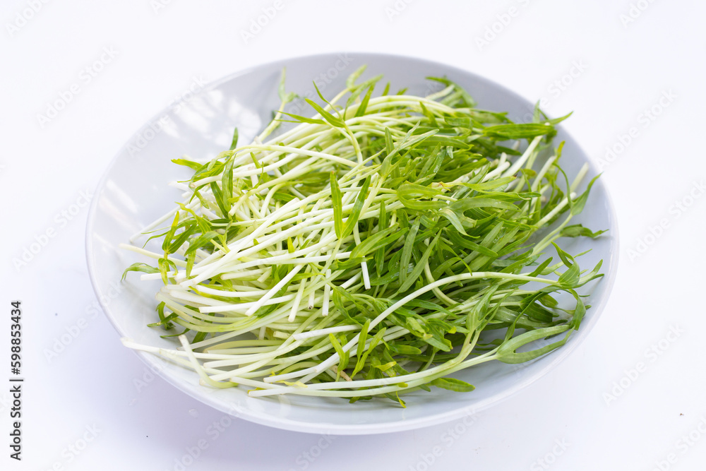 Water spinach sprouts. Organic vegetables Water spinach sprouts. Organic vegetables