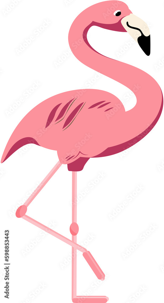 Obraz premium Pink flamingo bird, PNG file no background