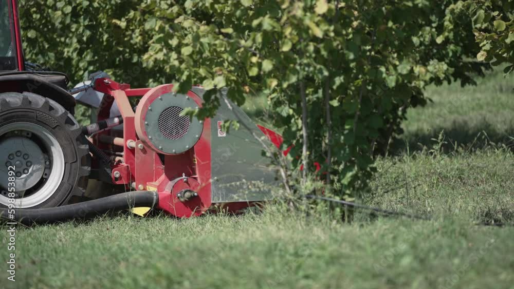 Combine tractor harvester collect harvest crops on the field of wallnut and hazelnut farm, cinematic shot Combine tractor harvester collect harvest crops on the field of wallnut and hazelnut farm, cinematic shot