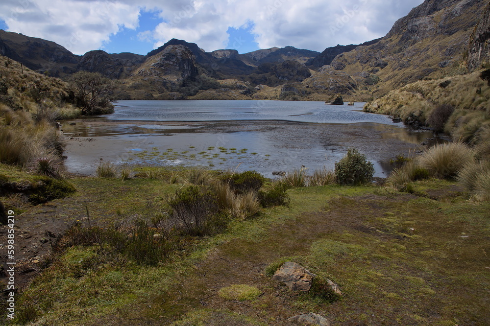 Laguna Toreadora in Parque Nacional Cajas near Cuenca, Azuay Province, Ecuador, South America
