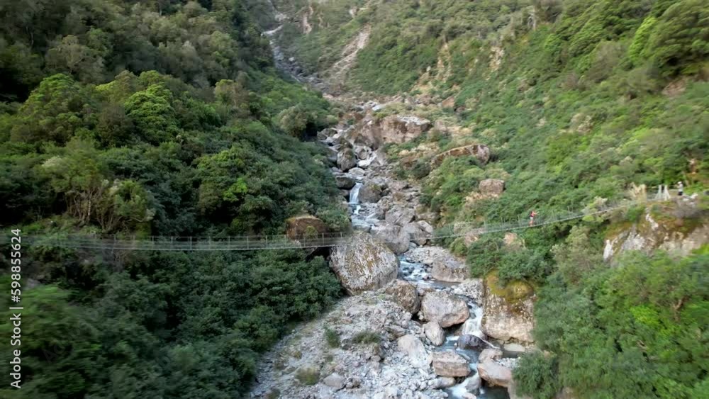 Traveler on swing bridge hiking on Copland Track. Drone reveal beautiful natural scenery od Westland, New Zealand Traveler on swing bridge hiking on Copland Track. Drone reveal beautiful natural scenery od Westland, New Zealand