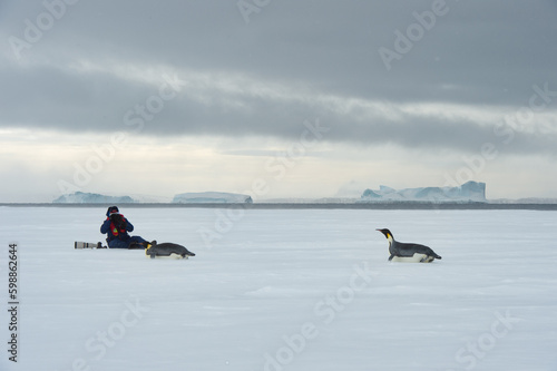 Snow Hill Antarctica 2018 photographer taking picture ofEmperor Penguin