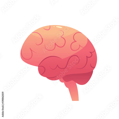 Human Brain Isolated on White Background. Anatomy. Human Organ Icon. Vector Illustration in Cartoon Style.