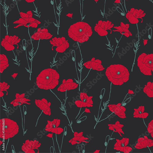 Fototapeta Naklejka Na Ścianę i Meble -  flower floral wild poppy vector drawing seamless pattern