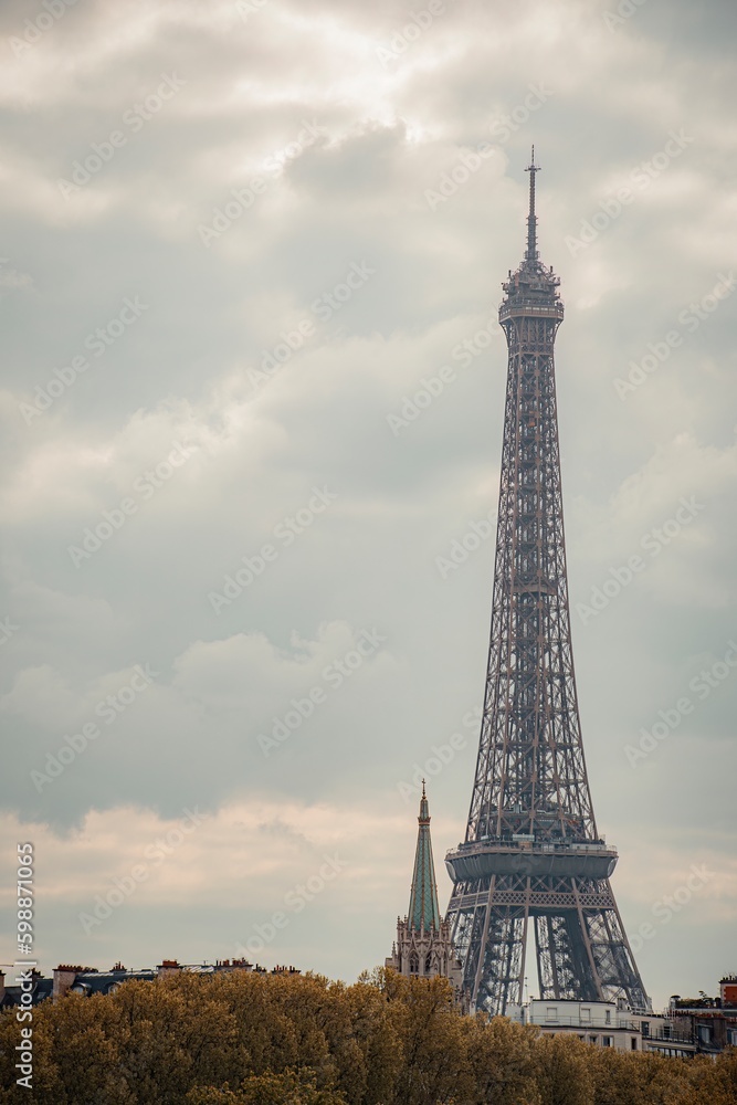 eiffel tower in the  city
