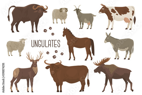 Set of 10 ungulates. Wild and domesticated animals. Cow  deer  buffalo  bull  goat  ram  sheep  donkey  elk  horse. Farm pets. Household. Vector illustration. Isolated objects on white background.
