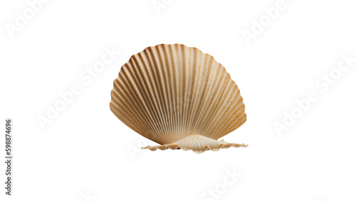 High-quality 3D Render of a Isolated Scallop Shell with Transparent Background, Generative AI