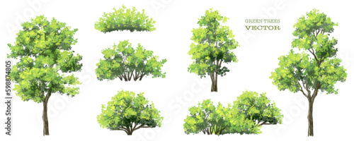 Vector watercolor green tree or forest side view isolated on white background for landscape and architecture drawing,elements for environment or garden,botanical element for exterior section in spring