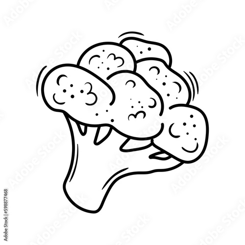 Hand drawn broccoli sketch illustration. Doodle supermarket food item. Outline vegetable vector drawing