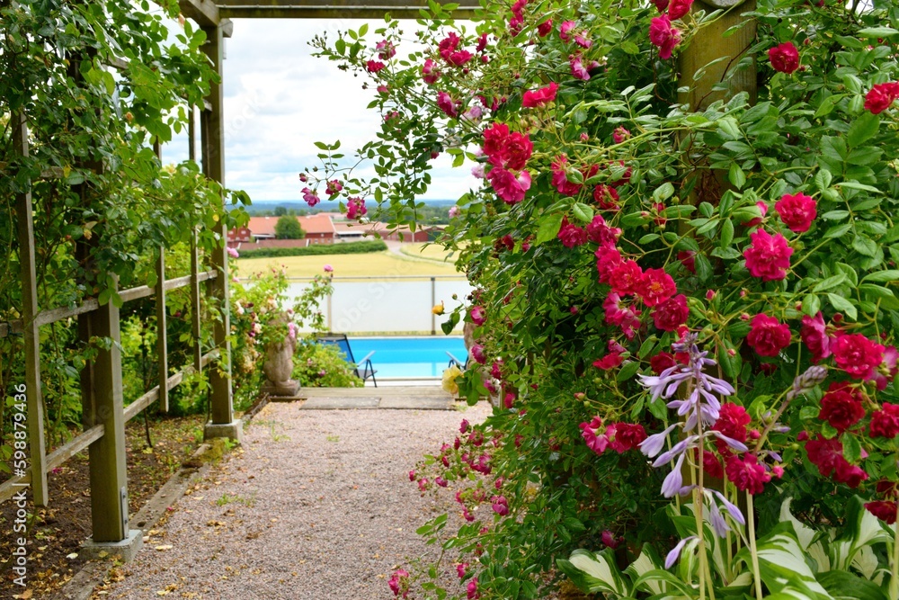 The path to the pool through a blooming garden with roses. The path to the pool through a blooming garden with roses.