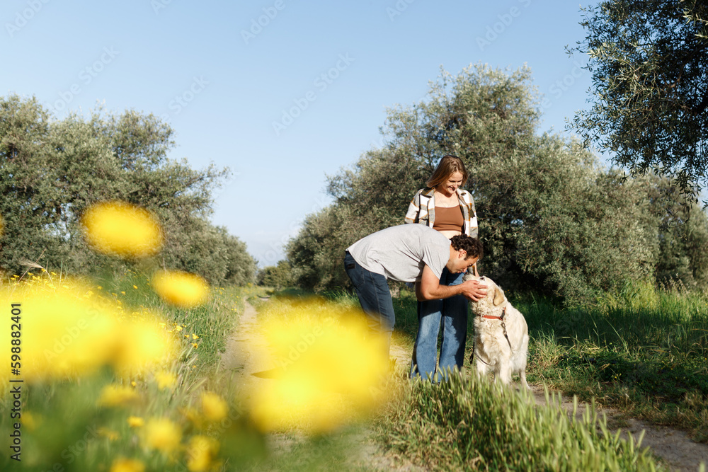 Couple with pet ,golden retriever dog, walking along path across field in countryside Couple with pet ,golden retriever dog, walking along path across field in countryside