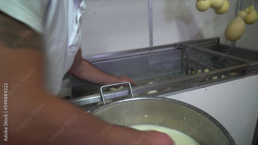 Italian cheese maker preparing caciotta cheese forms. Italian cheese maker preparing caciotta cheese forms.