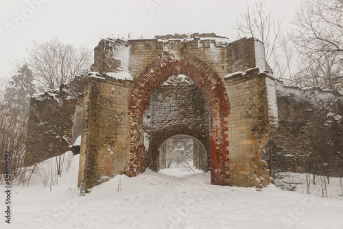 Ruins of the Church of the Intercession of the Most Holy Theotokos in the Volosovsky district of the Leningrad region photo