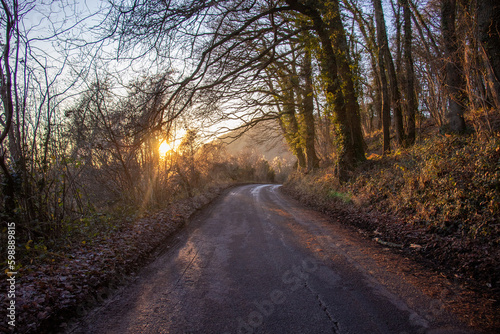 Countryside scenery in the Autumn