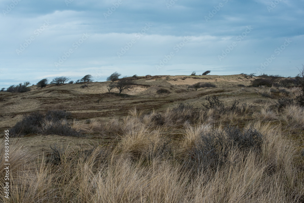 sand dunes on the coast of the north sea sand dunes on the coast of the north sea