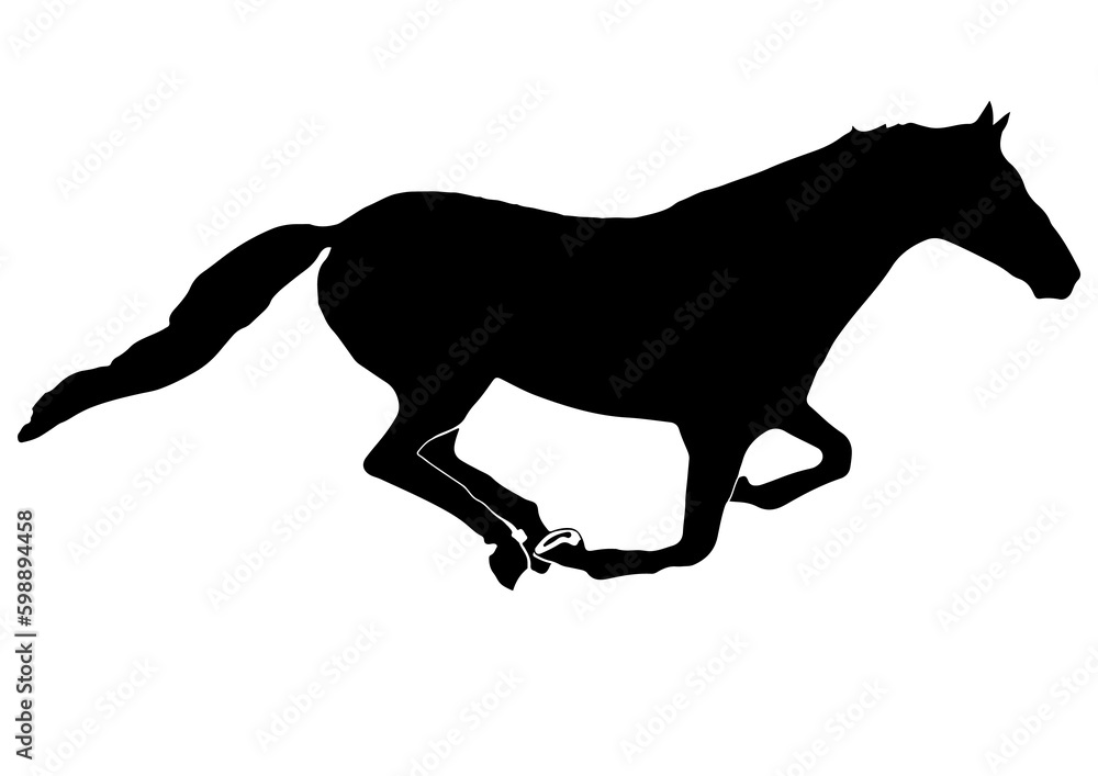 Fototapeta premium horse silhouette isolated on white