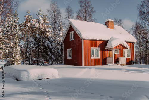 Red cabin in scandinavian forest